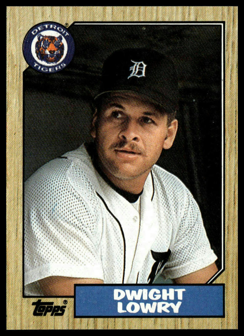 1987 Topps #483 Dwight Lowry